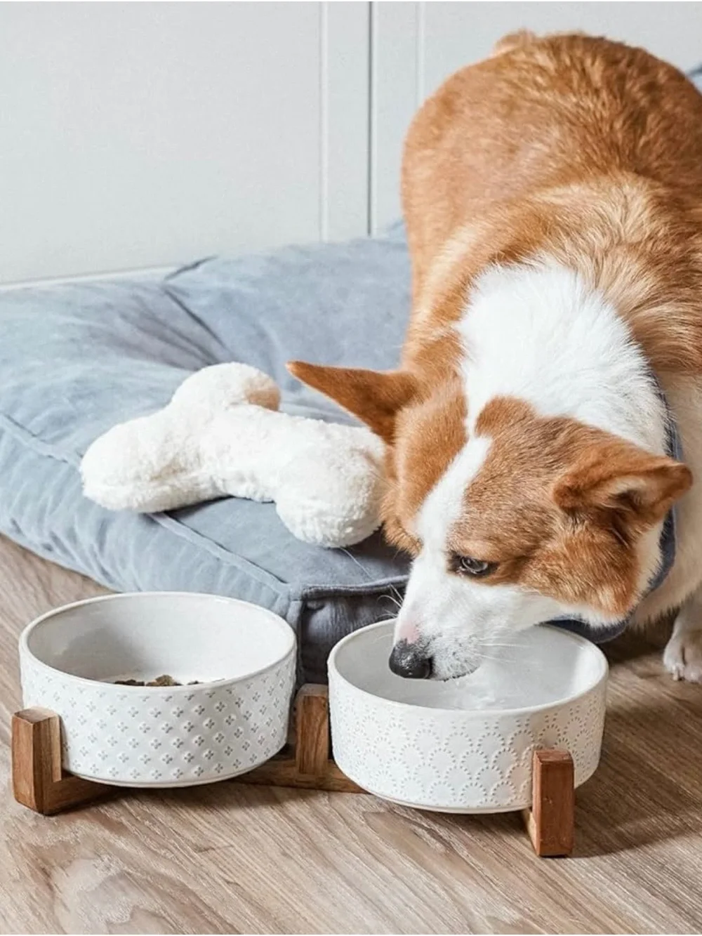 🐶🥣  LE TAUCI Ceramic Elevated Dog Bowl Set with Acacia Wood Stand